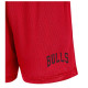 Nike Ανδρικό σορτς Chicago Bulls NBA Mesh Shorts Nike Ανδρικό σορτς Chicago Bulls NBA Mesh Shorts